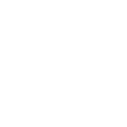 Bastivan Consulting
